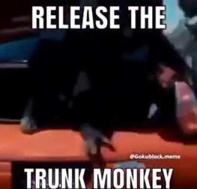 MONKE