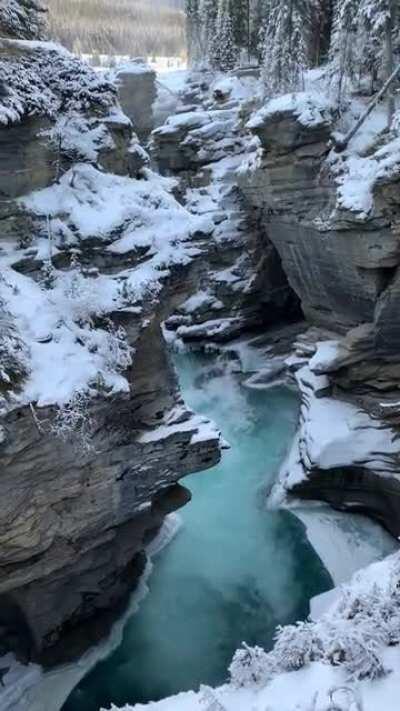 🔥 Athabasca Falls, Jasper National Park, Canada