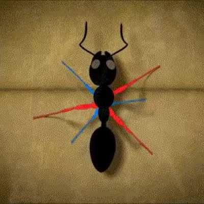 Many insects use the &quot;Tripod Gait&quot; to walk - three legs lift and move while the other three legs support