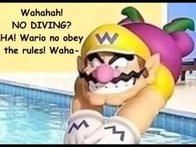 Wario dies