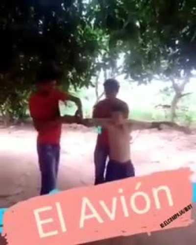 El avion