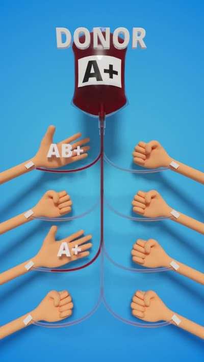 Blood Group Compatibility from Donors to Recipients