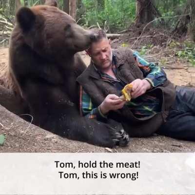 To feed a bear with a big mac