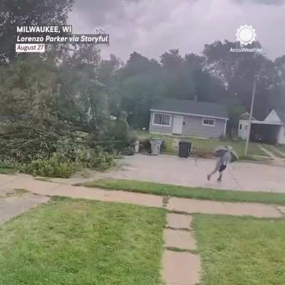 Cyclist slowly crashes into a tree that fell over during a storm.