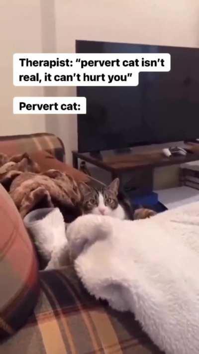 Do not be afraid, tell perverted cat your problems