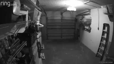 My dad sent me this from his ring doorbell this morning. There aren’t any lights in the garage except a small green LED on the garage door opener. Thought y’all would get a kick out of this!