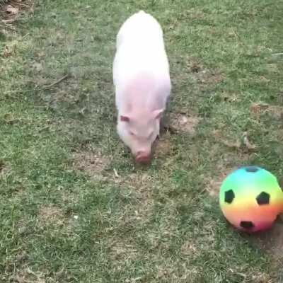 Barry loves having a soccer ball to play with