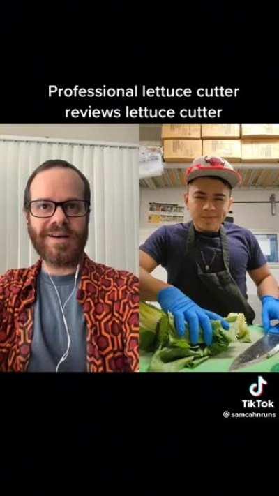 Professional lettuce cutter