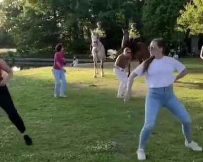 Dutch police joining an outside Salsa lesson by horse in the Netherlands