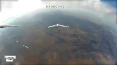 Ukrainian drone operators of one of the Air Defence units downed another Russian reconnaissance UAV with the help of a Wild Hornets interceptor drone. October 2024.