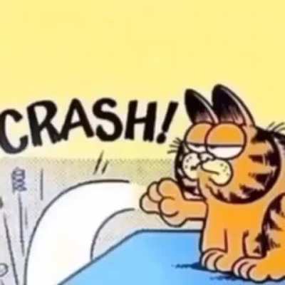 No Garfield!