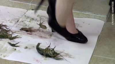 Crushing Giantess drinking redhead black pumps crawdad