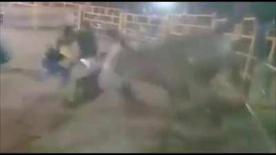 Bull Rider Becomes Unconscious In Ring