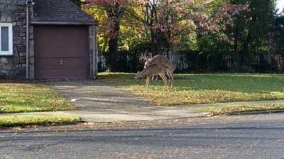 Right in front of my house