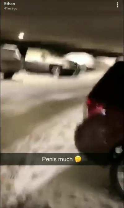 We have a snow penis vandal on the loose