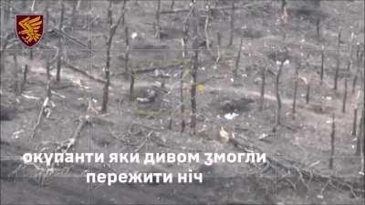 Overview, drone dropped grenades and burning vehicles after Russian attacks towards Terny, west of Kreminna. March 2024 (music from source)