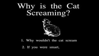 &quot;why is the cat screaming?&quot;