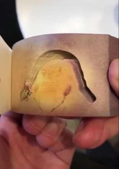 This awesome 3-dimensional flipbook