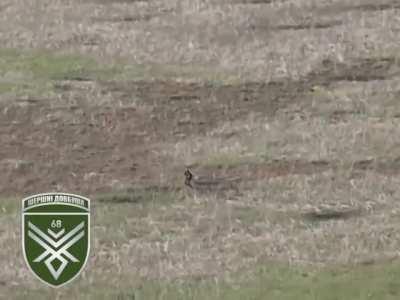 A new footage of a Ukrainian FPV drone &quot;Hornets of Dovbush&quot; unit trying to chase a Russian soldier in a field