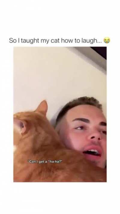 This guy taught his cat how to laugh