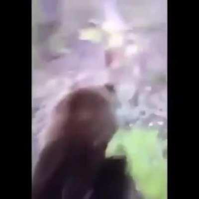 HMFT after i kick a wild bear