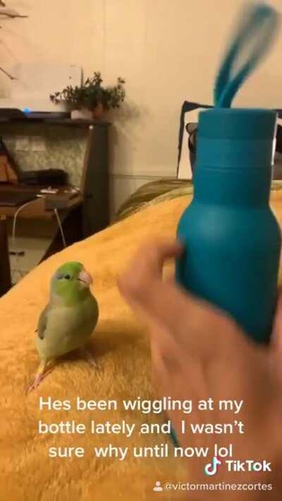 So I have to get a new water bottle now. Stupid bird haha I love him.