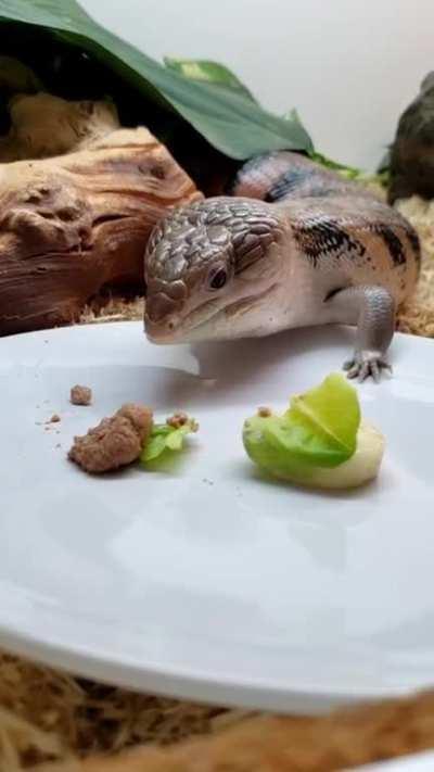 I made Sushi a &quot;burger&quot; out of banana, dog food, and lettuce. I think he likes it!