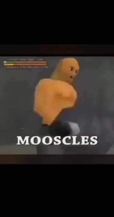 POOMP the MOOSCLES