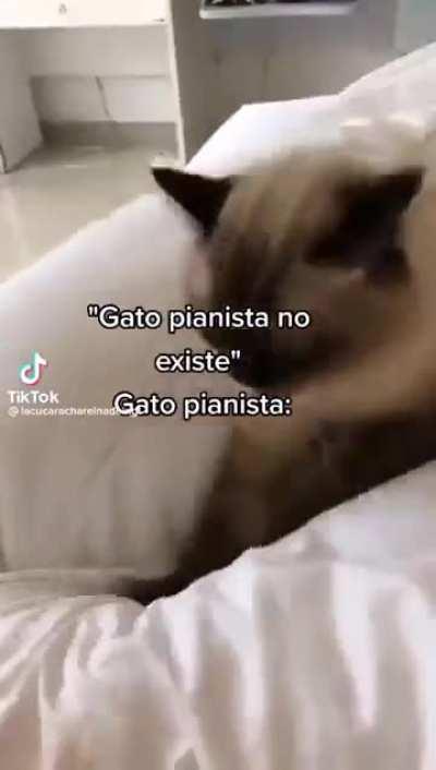 El wunk pianista