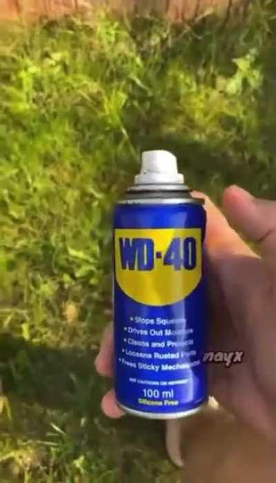 WD40 the new sun cream