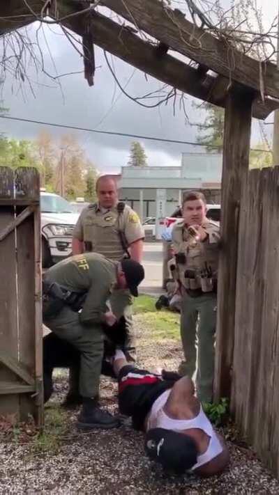 Police taze non-combative 'suspect' and then lose control of K9 while it mauls the man's leg.