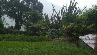 The smell of rain on grass is sublime. Itaipava / RJ - Brazil