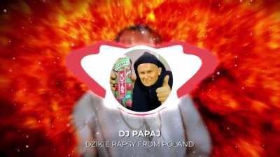 DZIKIE RAPSY FROM POLAND