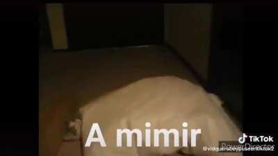 A mimir