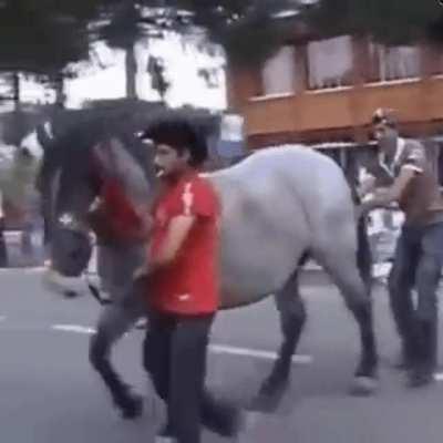 WCGW if i just mess with this horse real quick? 🏇