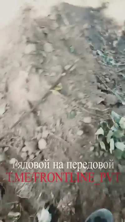 RU POV: Footage from 6th Battalion of the 137th Airborne Division in position of destroyed forest regiment of the UAF, in the Kursk borderland.