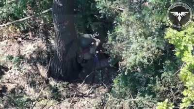 Ukrainian 47th Mechanized Brigade’s “Strike Drones Company” posted video showing a Russian female soldier being struck and injured by an FPV strike. Published July 5, 2024