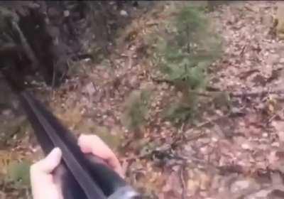 Man with shotgun charged by a bear