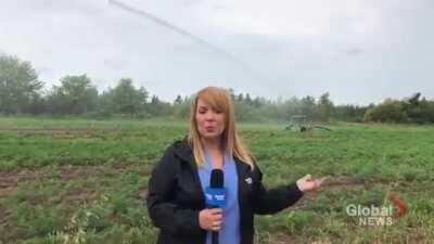 Reporter stands too close to a sprinkler