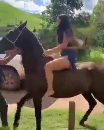 trying to ride a horse