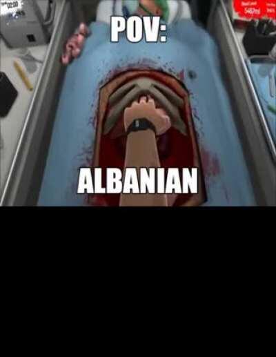 Albania steal my oragns