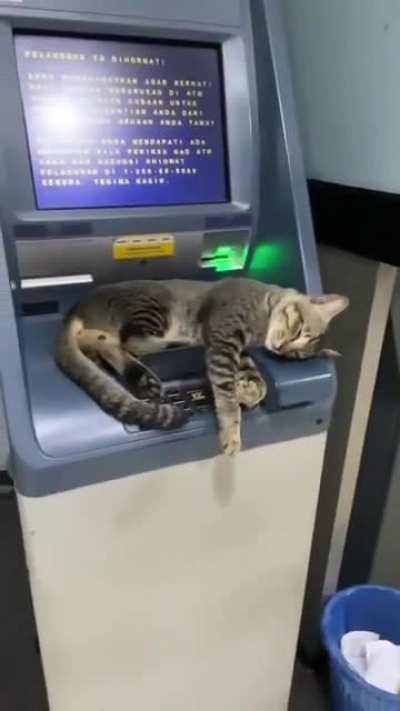 Sorry, unable to dispense cash now.