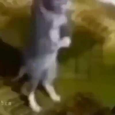 I really don't know part 5