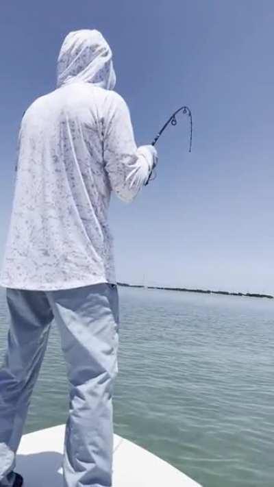 Guide stops a shark from attacking a bonefish, blocking it with a push pole thrown like a javelin