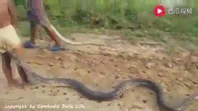 Kids. Snakes. Cambodia. WTF