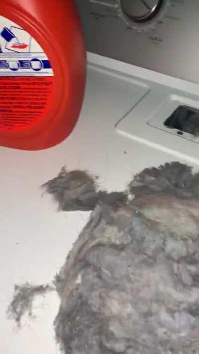 My friend asked me to switch her laundry over. I found out they didn’t know you were supposed to clean your lint trap.