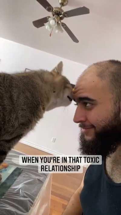 The cat was offended you didn't accept its love bite.