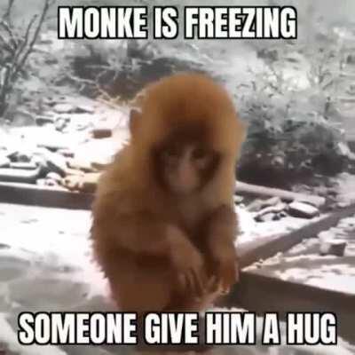 Give him warm embrace