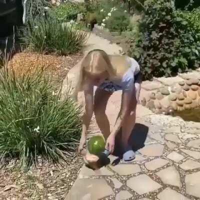 Smashing a pressurized watermelon