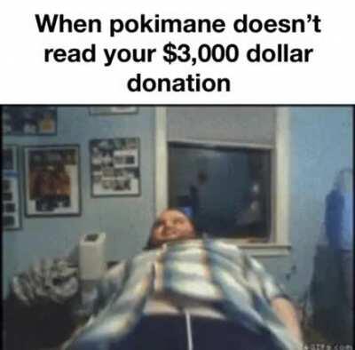 Pokimane notice me